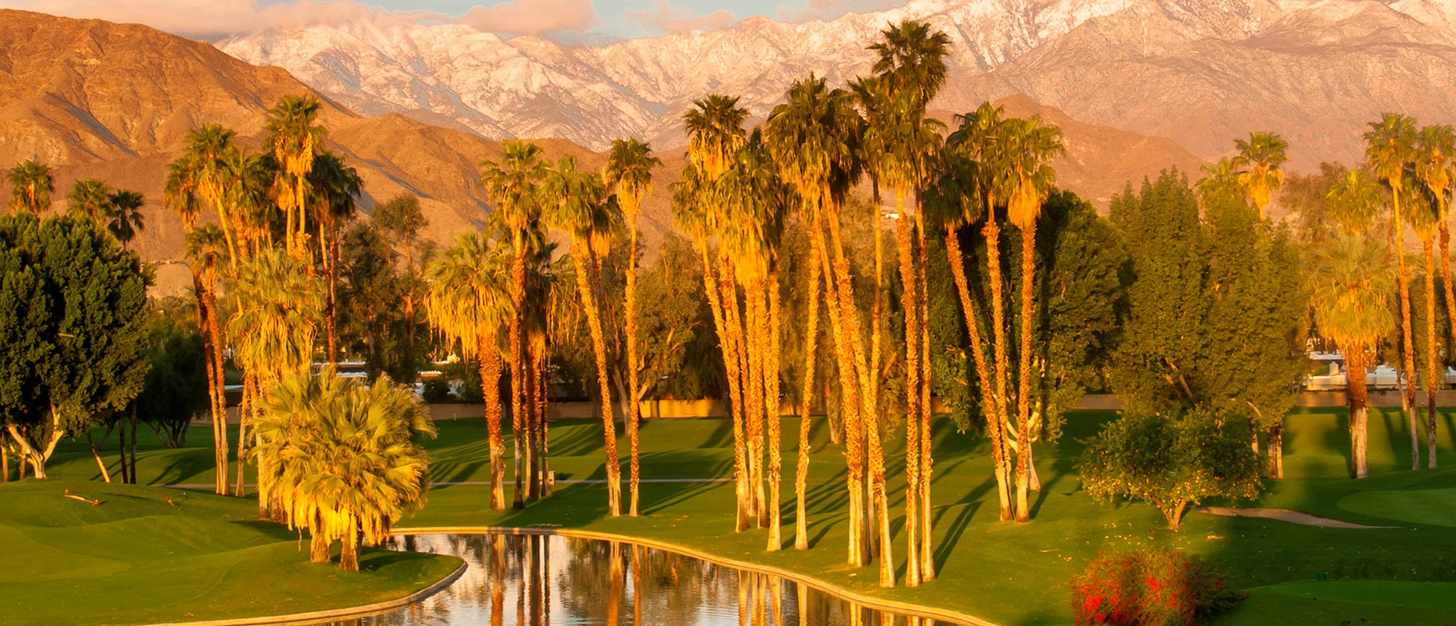 Palm Springs: The Best Places to Eat and Drink